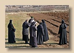 P1010325 (Medium)